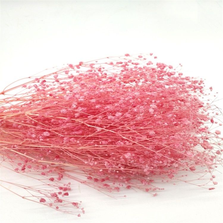 2019 Best Selling Flower Decorative Preserved Babysbreath Gypsophila for Celebration