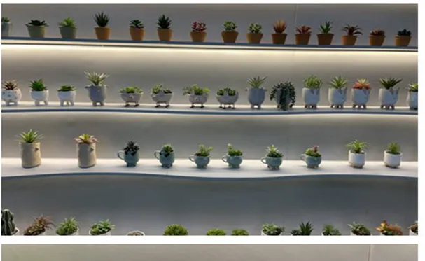 High Quality with Artistic Flowerpot PE Meaty Plant Appearance, Used for Interior Decoration