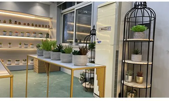High Quality with Artistic Flowerpot PE Meaty Plant Appearance, Used for Interior Decoration