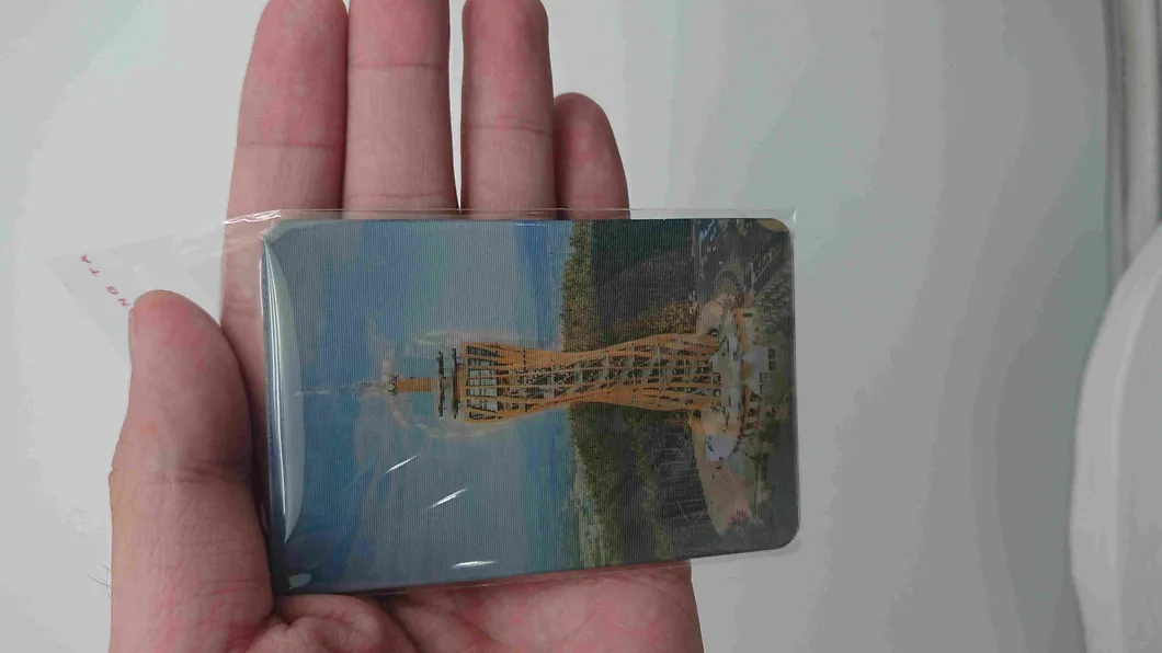 Salzburg Mozart Vienna Trip Promotion Gift 3D Fridge Magnet