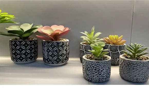 Wholesale High Quality PE Meaty Plants with White Appearance of The Flower Pots, Used for Interior Decoration