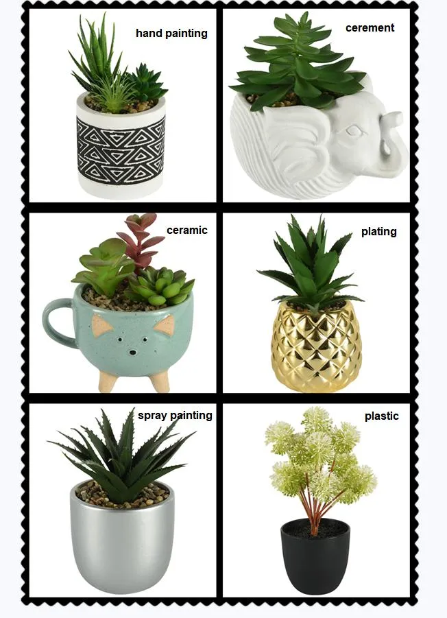 Wholesale High Quality PE Meaty Plants with White Appearance of The Flower Pots, Used for Interior Decoration