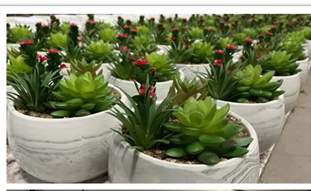 Wholesale High Quality PE Meaty Plants with White Appearance of The Flower Pots, Used for Interior Decoration