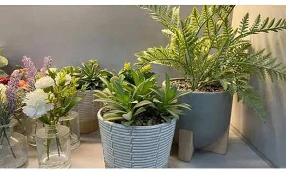 Wholesale High Quality PE Meaty Plants with White Appearance of The Flower Pots, Used for Interior Decoration